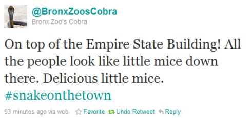 BronxZoosCobra Twitter