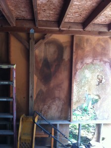 Reaper Grim Reaper Stain