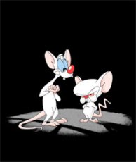 Pinky and the Brain