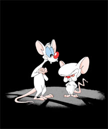 Pinky and the Brain