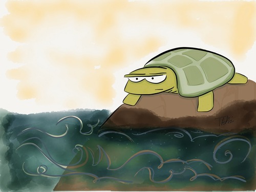 Sun Bathing Turtle drawing