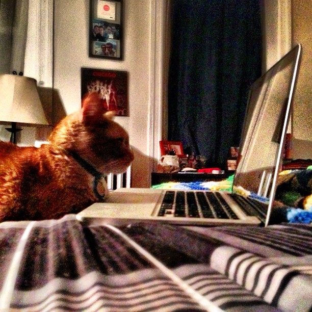 Pinter Works on His Novel