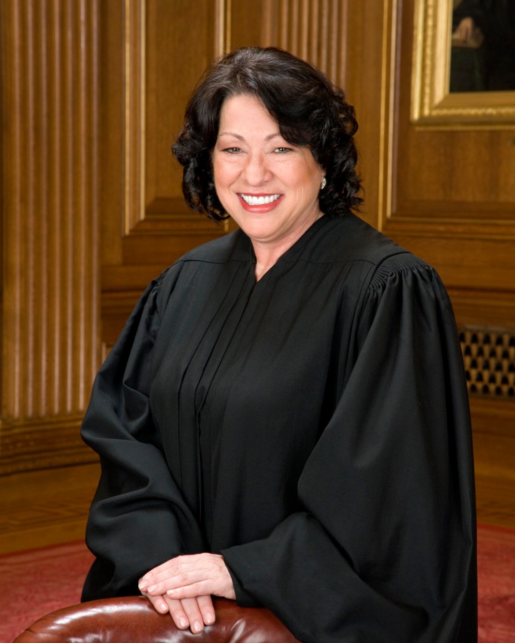 Official Portrait of Justice Sonia Sotomayor